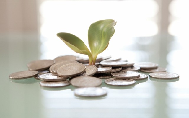 Investment Tips for Young Professionals